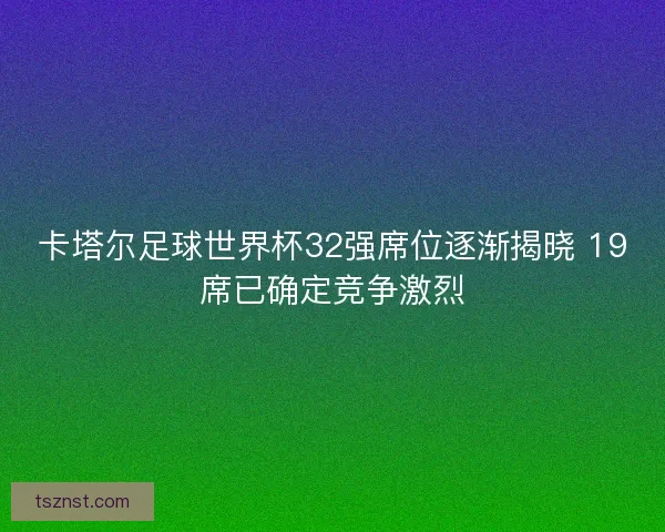 卡塔尔足球世界杯32强席位逐渐揭晓 19席已确定竞争激烈